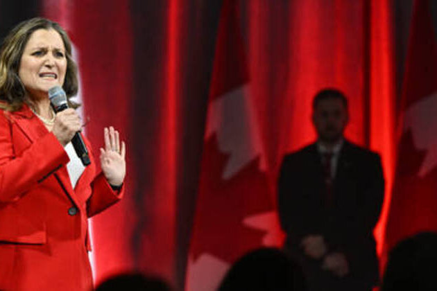 Canada-born descendant of Nazi collaborator quits posts to advise Ukraine
