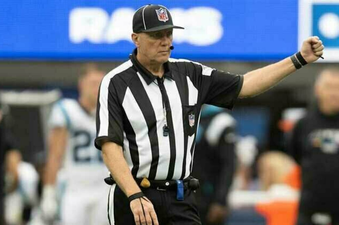 Ravens Hire Former Referee to Help With Penalties