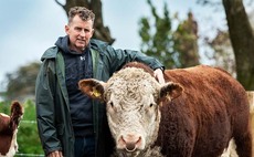 Rugby icon Nigel Owens on his new beef venture