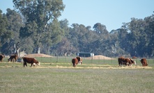  Aussie company AgriWebb has signed a multi-million dollar deal. Picture Mark Saunders