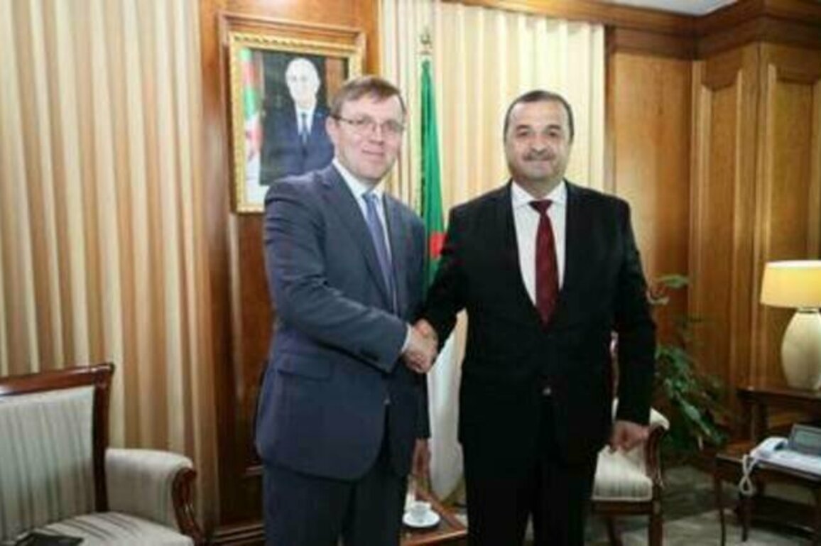 Russia and Algeria boosting resource cooperation - Deputy Energy Minister