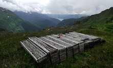 AUX Resources says drilling at Georgia in BC has returned the best grades in the district's century-old mineral exploration history