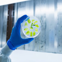 Israel's PlantArcBio wins US, South Korea patents for crop gene-editing platform