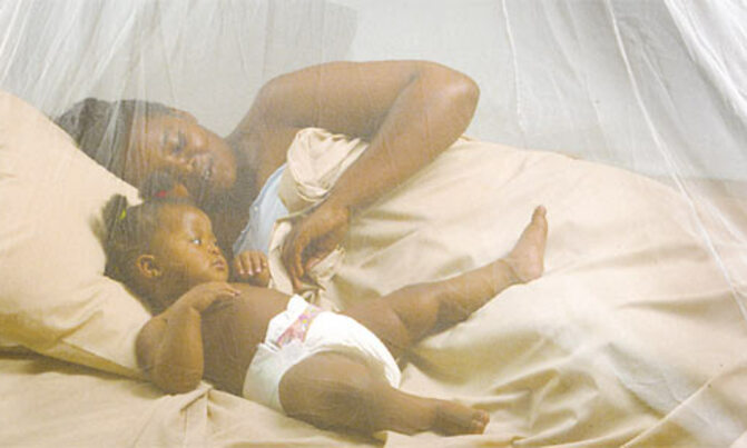 Sleep under a treated mosquito net, stay healthy — Ministry of Health Sleep under a treated mosquito net, stay healthy — Ministry of Health