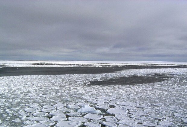 Humanity experiencing climate collapse UN