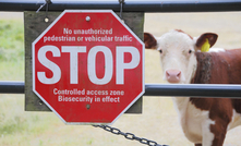 Senators stop Biosecurity Protection Levy progressing. Credit: Eric Buermeyer, Shutterstock.   