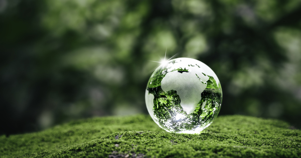 FCA launches sustainability support group for advisers - Vimarsana News