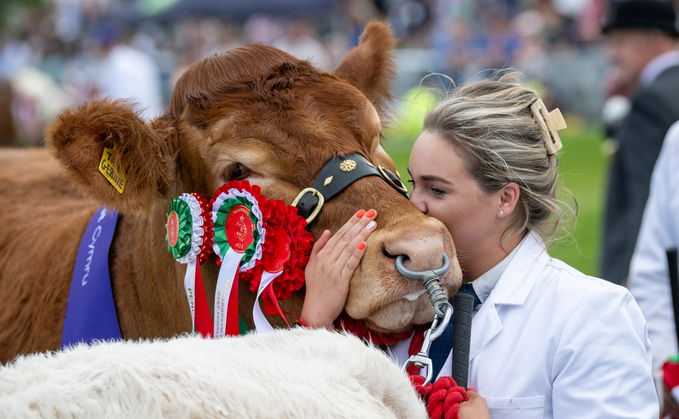 ROYAL WELSH SHOW: Maraiscote Tangerine takes Royal Welsh beef title