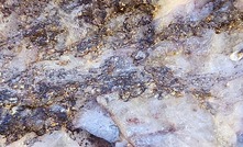 Visible gold from Mt Malcolm Mines’ flagship Malcolm project in the Goldfields