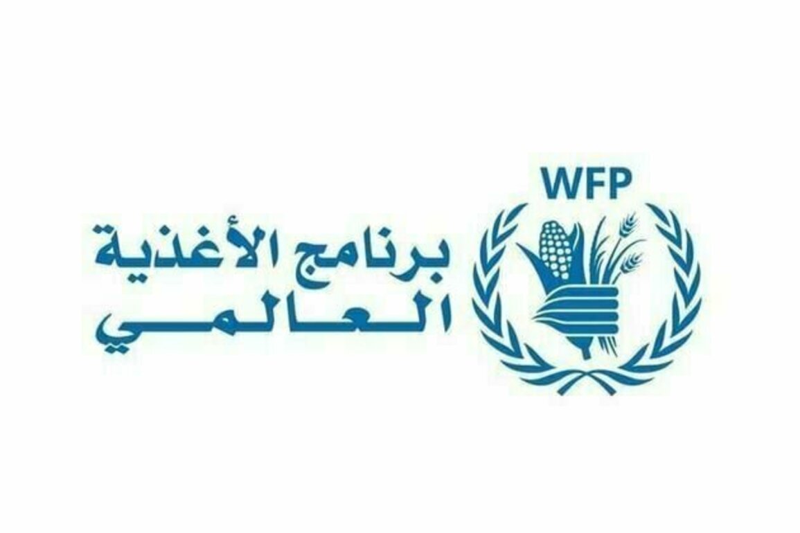 Refugees escaping Sudan face escalating hunger, malnutrition as food aid risks major reductions