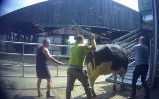 Arla farm suspended after undercover footage