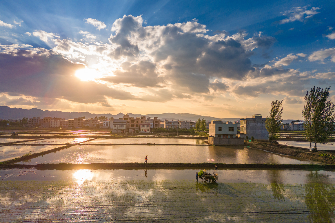 #CHINA-AGRICULTURE-XIAOMAN-PLANTING(CN)