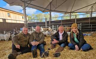 Springtime on the Farm seeks farmers for new series