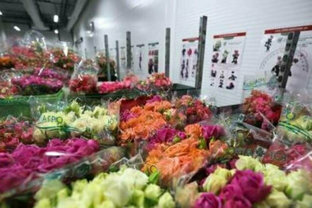 West tried to deprive Russian women of flowers - PM