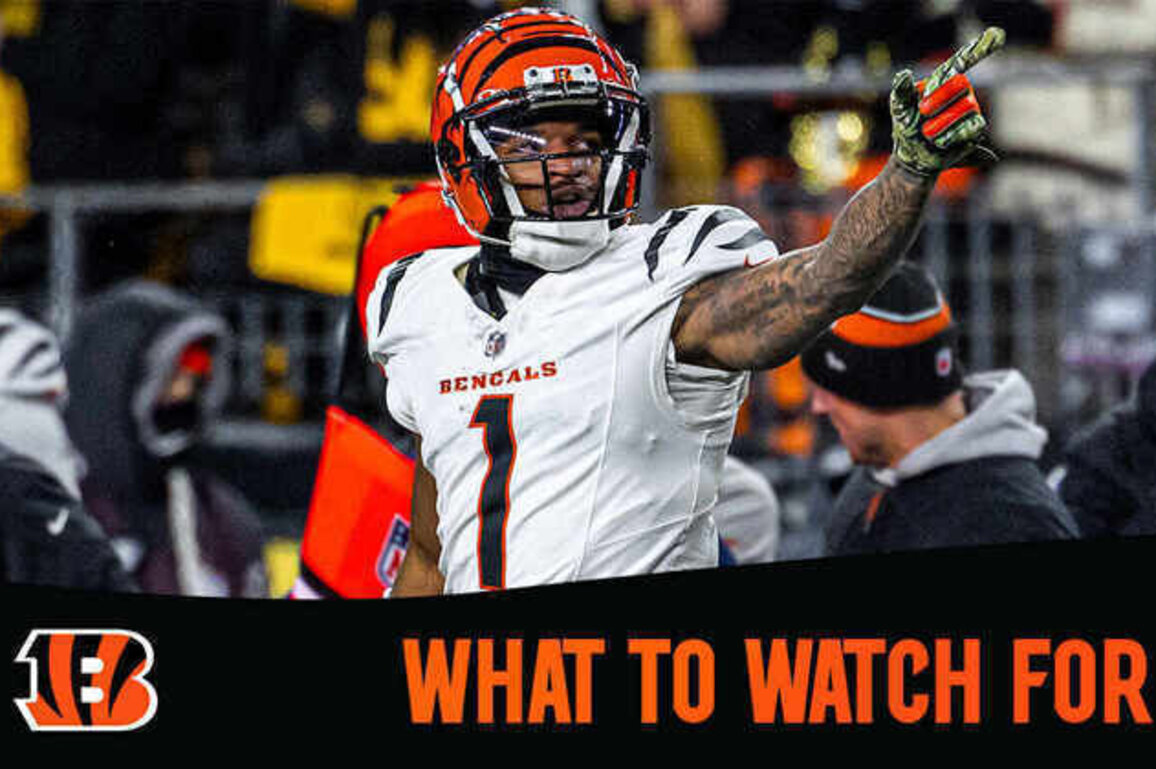What to Watch For | Bengals at Steelers Week 11