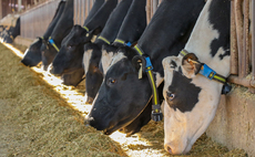 Partner Insight: Preventative health as the foundation of farm resilience