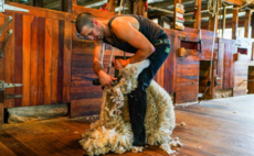British man smashes world shearing record in memory of daughter