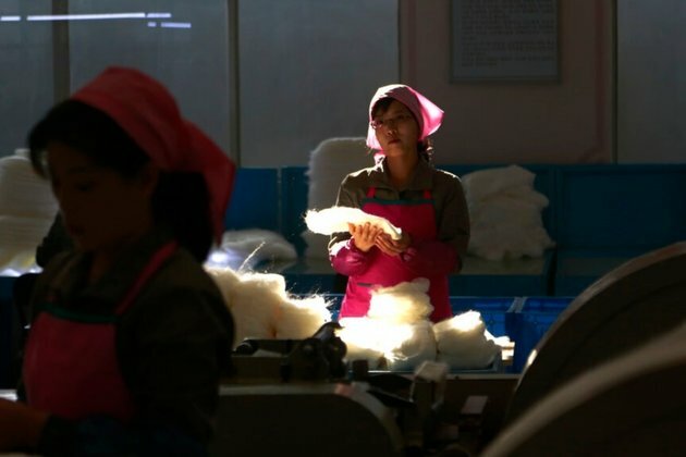 North Korean Defectors Put Spotlight on Rights Abuses