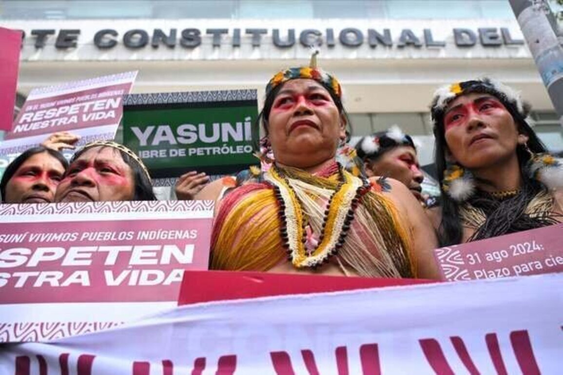 Ecuadorian Rights Group Files Case to Enforce Amazon Oil Referendum