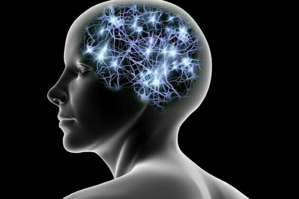 How does your brain create new memories? Neuroscientists discover 'rules' for how neurons encode new information