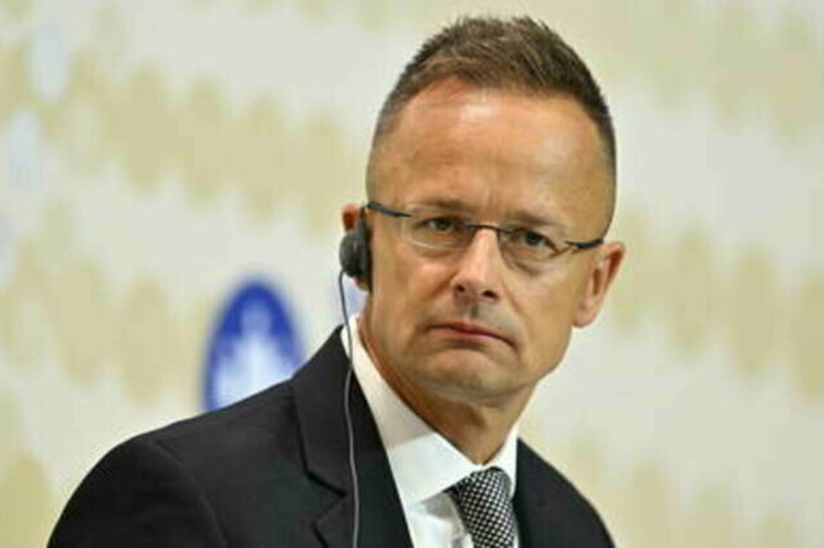 'Even Zelensky' must show Hungary respect - Szijjarto