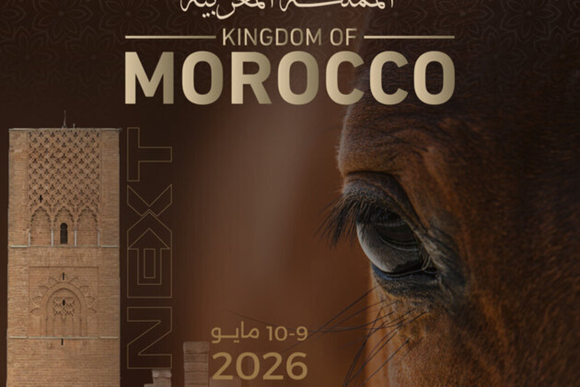 Morocco to host third leg of Emirates Arabian Horse Global Cup with 179 horses participating