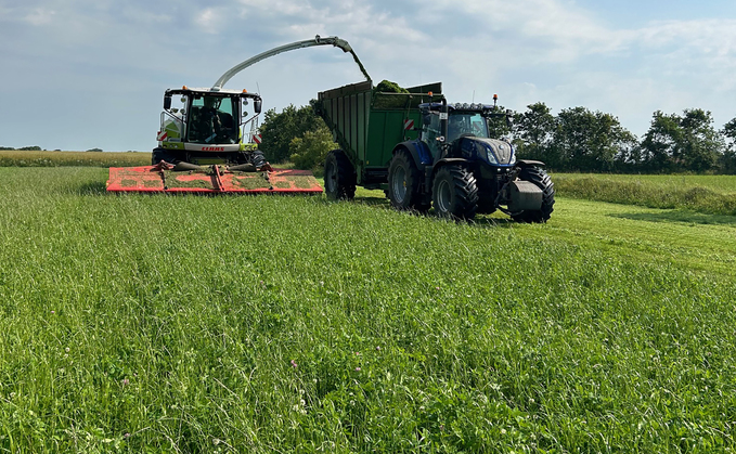 BioRefine in Denmark produces green proteins from organic clover and alfalfa.