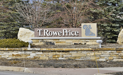 Only one T. Rowe Price fund failed to deliver value to investors in 2024