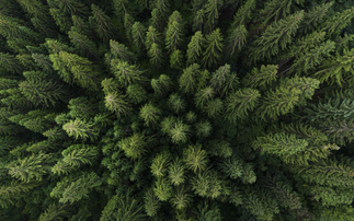 Can the carbon removal market scale up to meet future demand?