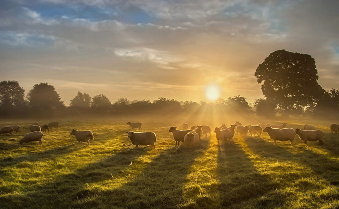 Agricultural and food industry figures make New Year Honours list