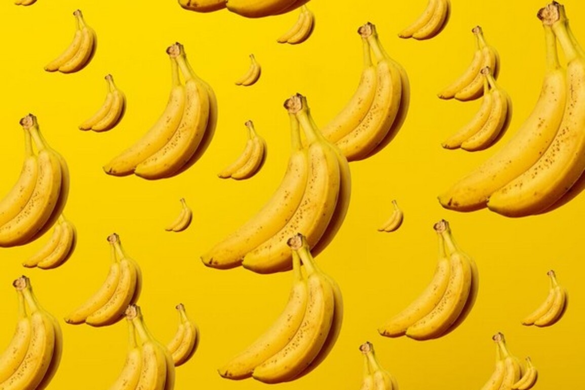 ICAR-NRCB makes breakthrough in banana tissue culture, new bioreactor technology boosts planting material production