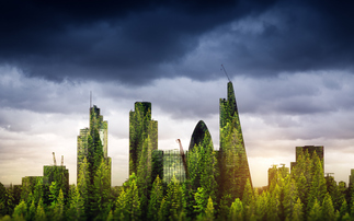 How business can transform commitments to results through efficient project management principles