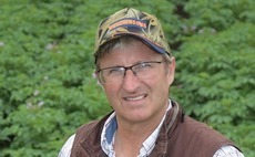 Talking roots with Darryl Shailes: 'Roots desperately need rain'