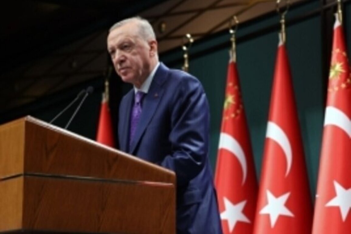 Erdogan speaks of "WWI hardships" for Armenians