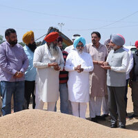 MP Satnam Sandhu takes stock of wheat procurement at Dera Bassi, Samrala Mandis; pace picks up after Centre's relaxation on norms
