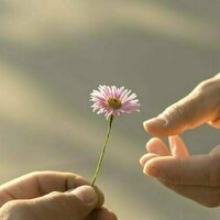 From flowers to stalking: how 'nice guy' narratives can lead to male entitlement and violence against women