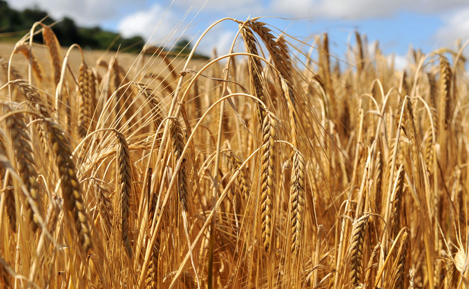 Barley growers are being offered a guide to boost crop potential