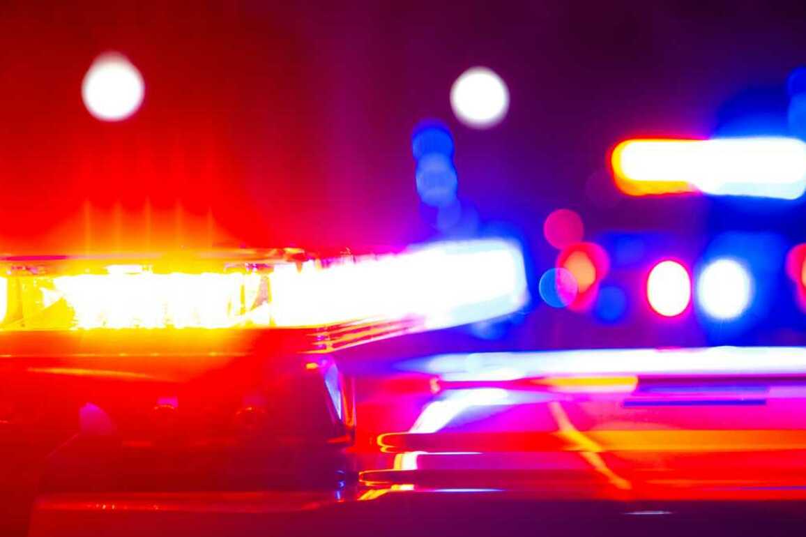 Man and woman arrested for cruelty to dozens of Alabama animals