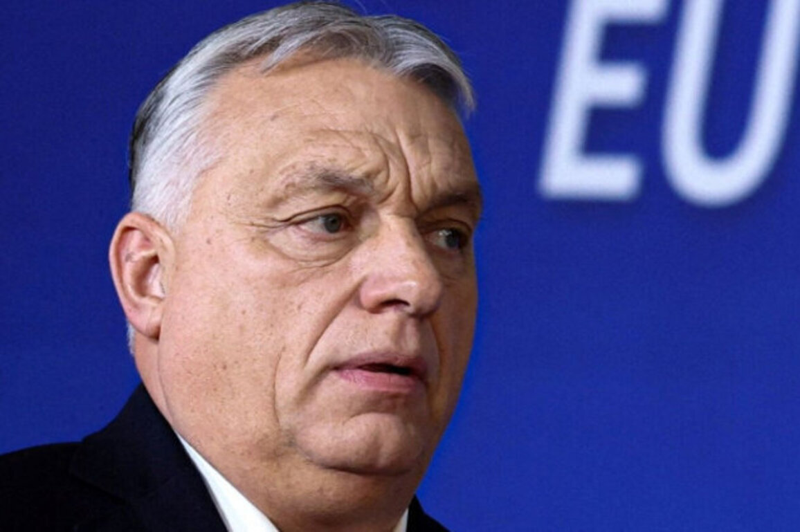 Orbn Personally Directed Raid on $82 Million Ukrainian Bank Shipment