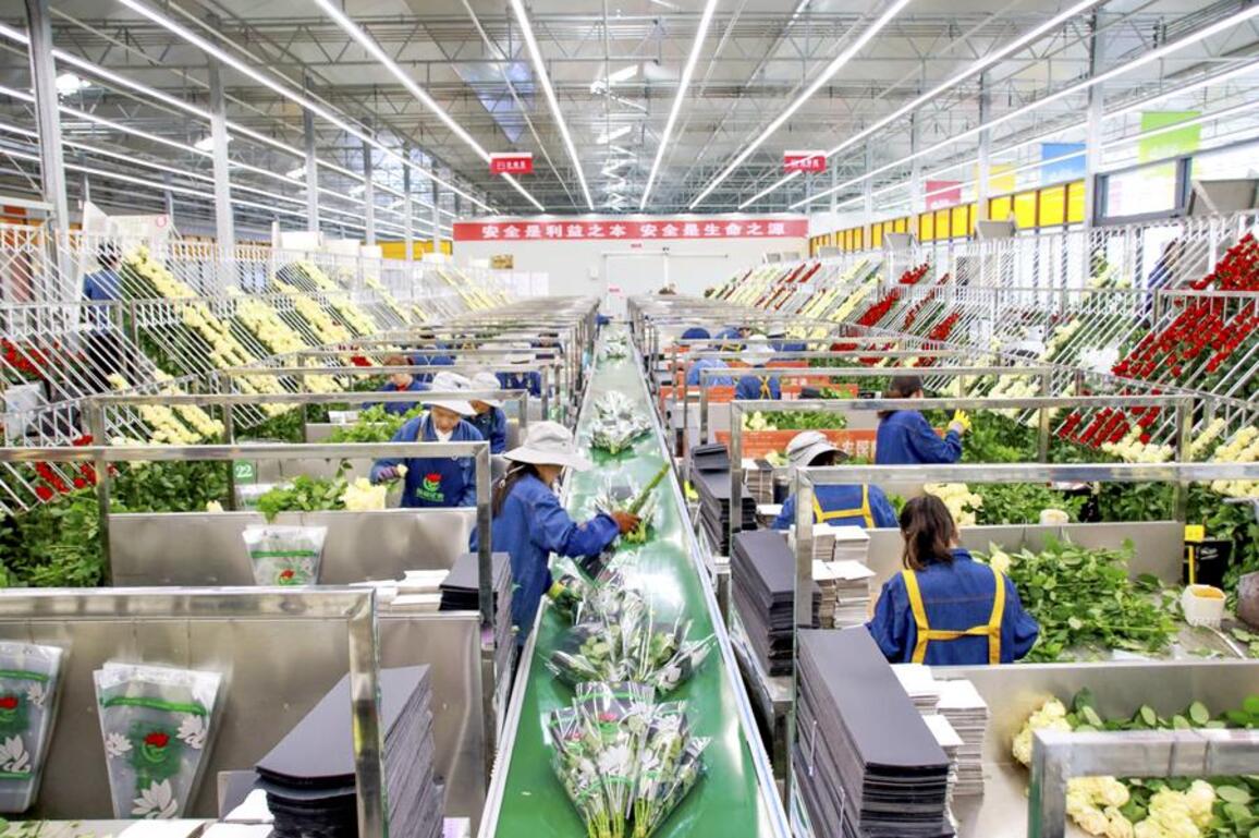 Fresh flowers from inland China hit Central Asian market