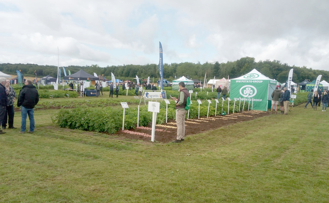 How Scottish potato growers are tackling PCN and blight with science and new techniques