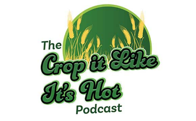 Crop It Like It's Hot Podcast - How to grow a record breaking wheat crop