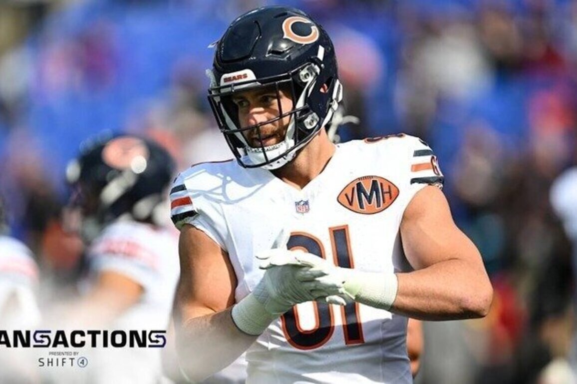 Ravens Sign Blocking Tight End Durham Smythe