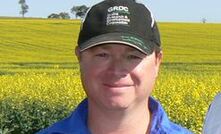 Pre-emergent herbicides for grass weed control in break crops