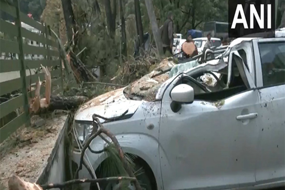 Himachal: Thunderstorm in Shimla uproots tree, crushes three parked vehicles