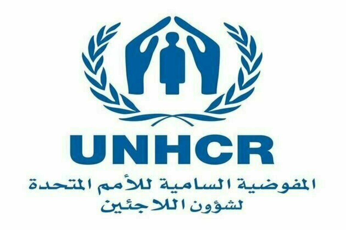 Global refugee numbers surpass 122 million: UNHCR