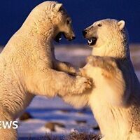 The incredible photos of Planet Earth cameraman Doug Allan