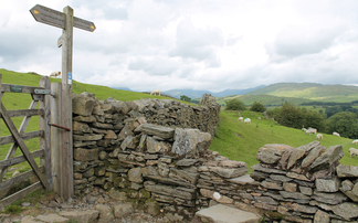 Tenant farmers under pressure as landowners reclaim land for economic benefit, says National Sheep Association (NSA)