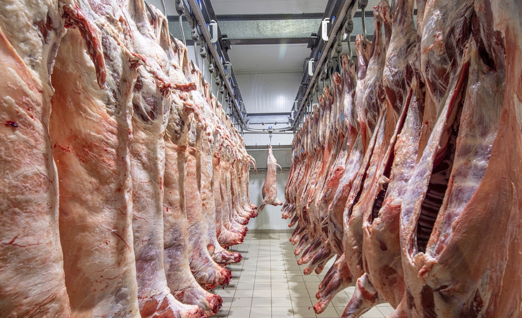 A WA abattoir has closed and Labor's live sheep export policy is coping the blame. 