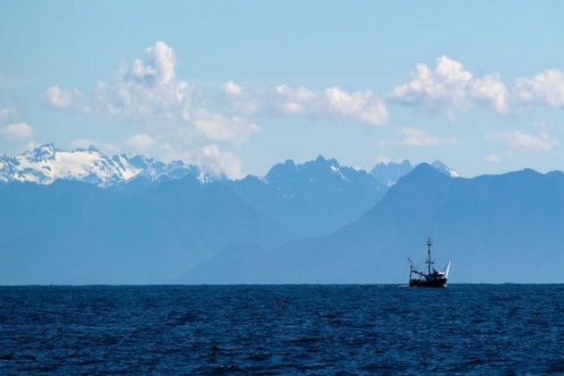 Illegal Chinese fishing fleet evades marine radar by disabling transponders close to EEZ of other countries